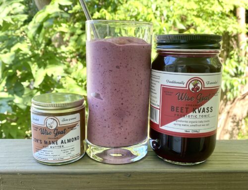 Summer Smoothie with Beet Kvass and Lion’s Mane Almond Butter